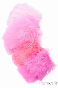 Tacchina - 6-8 cm - sfumature di rosa
